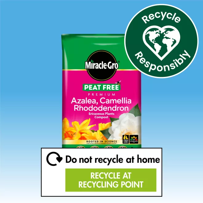 Miracle-Gro® Peat Free Premium Azalea, Camellia & Rhododendron Ericaceous Compost image 7