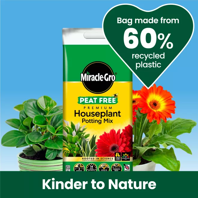 Miracle-Gro® Peat Free Premium Houseplant Potting Mix image 5