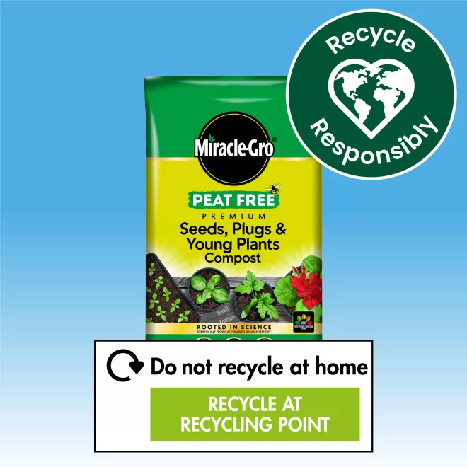 Miracle-Gro® Peat Free Premium Seeds, Plugs & Young Plants Compost image 6