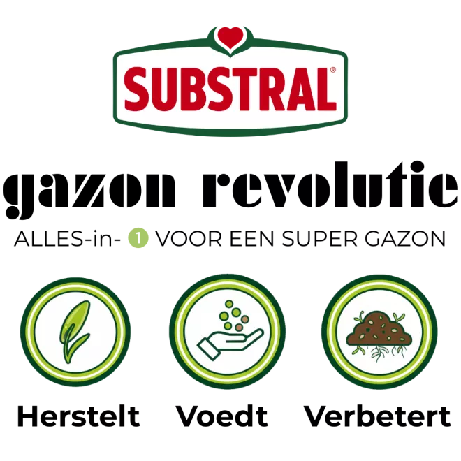 Substral gazon révolution 150m² image 4