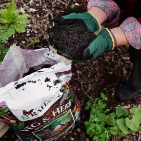 Baileys Veg & Herb Premium Planting Mix image 5