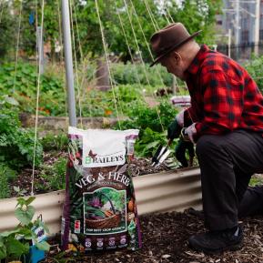 Baileys Veg & Herb Premium Planting Mix image 2