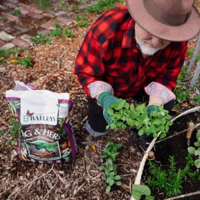 Baileys Veg & Herb Premium Planting Mix image 4