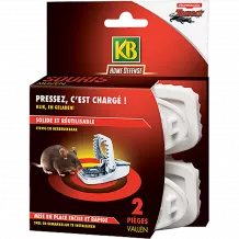 Comment Se Debarrasser Des Souris La Pause Jardin Comment Se Debarrasser Des Souris La Pause Jardin