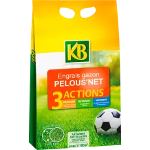 Planter des groseillers