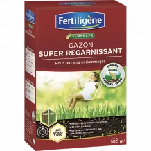 FR_REGAR100_FTG_PS.png