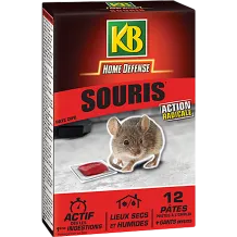 Comment Se Debarrasser Des Souris La Pause Jardin