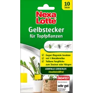 AT_3809_NL_PS.png