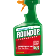DE_3206_RUP_PS.png