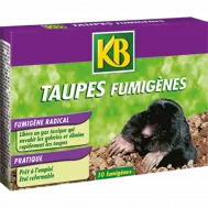 FR_4547_KB_PS.png