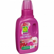 FR_4725_KB_PS.png