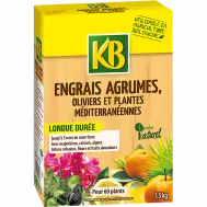 FR_5095_KB_PS.png