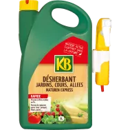 FR_6209_KB_PS.png
