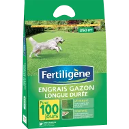 FR_AM350N_FTG_PS_1.png