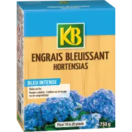 FR_AZUL75_KB_PS_1.png