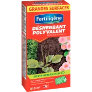 FR_FDESP70_FTG_PS_1.png