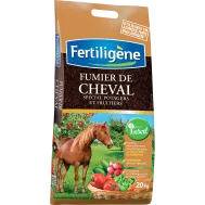 FR_FFCH20_FTG_PS_1.png