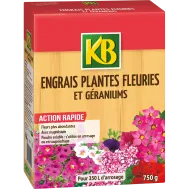 FR_FLE75_KB_PS_1.png