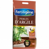 FR_FPA6P_FTG_PS.png