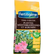 FR_FTMED20_FTG_PS_1.png