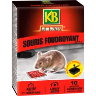 FR_HDSFOUD1_KB_PS_1.png