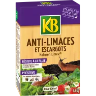 FR_KBLIMEX18_KB_PS_1.png