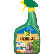 FR_KCOCPAL_KB_PS_1.png