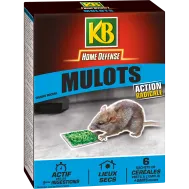 FR_MULOCER_KB_PS_1.png