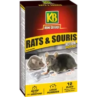 FR_RASOBLO_KB_PS_1.png