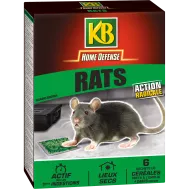 FR_RATCER_KB_PS_1.png