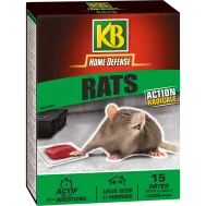 FR_RATPAT_KB_PS_1.png