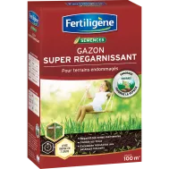 FR_REGAR100_FTG_PS_1.png