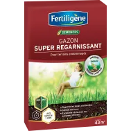 FR_REGAR43_FTG_PS_1.png