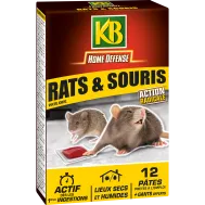 FR_RSOUPAT_KB_PS_1.png