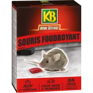 FR_SFOUDPAT_KB_PS_1.png