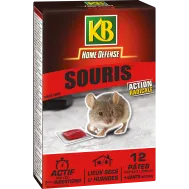 FR_SOURIPAT_KB_PS_1.png