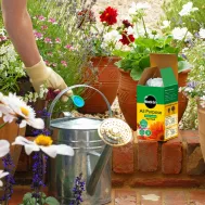 Miracle Gro All Purpose Soluble Plant Food 1kg Miracle Gro All Purpose Soluble Plant Food 1kg