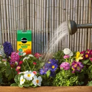 Miracle Gro All Purpose Soluble Plant Food 1kg Miracle Gro All Purpose Soluble Plant Food 1kg