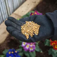 Miracle Gro All Purpose Continuous Release Plant Food 1kg Love The Garden