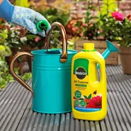 Miracle Gro All Purpose Concentrated Liquid Plant Food 1 Litre Miracle Gro All Purpose Concentrated Liquid Plant Food 1 Litre