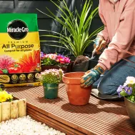 Miracle Gro Premium All Purpose Compost Litres Miracle Gro Premium All Purpose Compost Litres