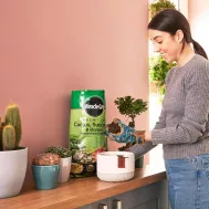Miracle Gro Premium Cactus Succulent Bonsai Compost 6 Litres Love The Garden