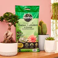 Miracle Gro Premium Cactus Succulent Bonsai Compost 6 Litres Love The Garden