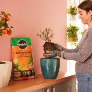 Miracle-Gro® Premium Mediterranean & Citrus Compost 6 litres