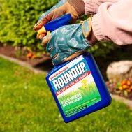 Roundup For Lawn Ultra Ready To Use Weedkiller 1 Litre