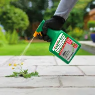 Roundup® Ready to Use Path Weedkiller 1