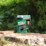 Roundup Tree Stump Weed 250ml Roundup Tree Stump Weed 250ml, Will Roundup Kill Trees And Shrubs