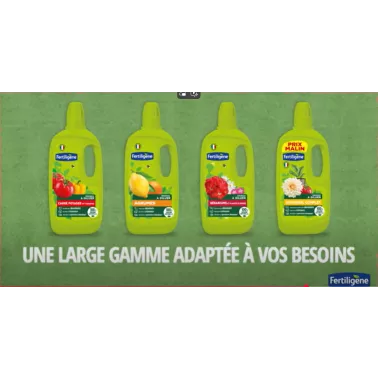 Capture d’écran 2025-02-10 115846.png