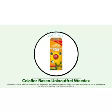 Celaflor%20Rasen-Unkrautfrei%20Weedex.jpg