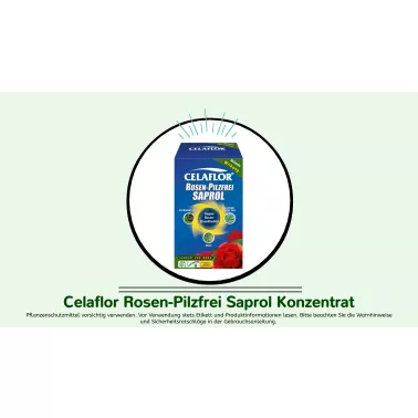 Celaflor%20Rosen-Pilzfrei%20Saprol%20Konzentrat.jpg